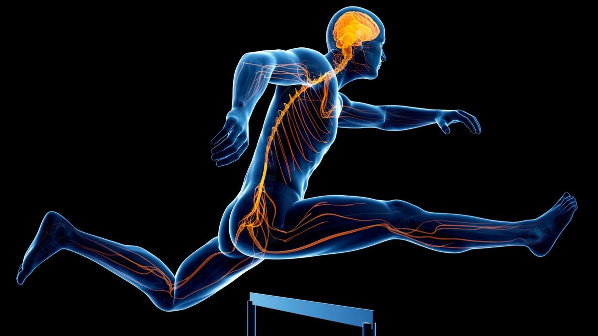 6 ways an athlete’s brain differs from the average person’s